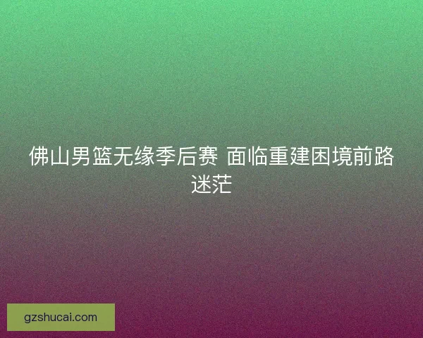佛山男篮无缘季后赛 面临重建困境前路迷茫